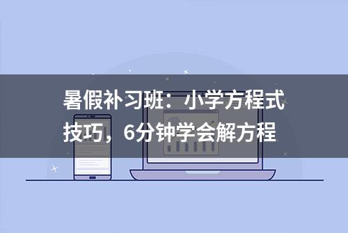 暑假补习班：小学方程式技巧，6分钟学会解方程