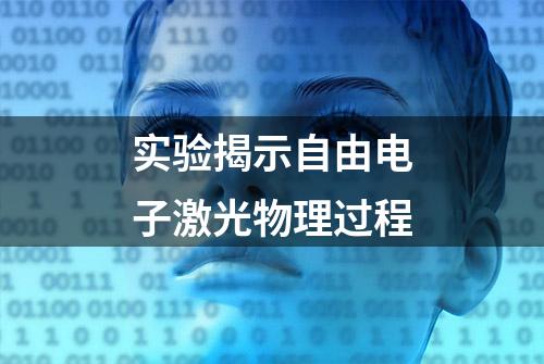 实验揭示自由电子激光物理过程