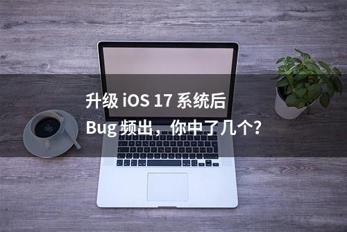 升级 iOS 17 系统后 Bug 频出，你中了几个？