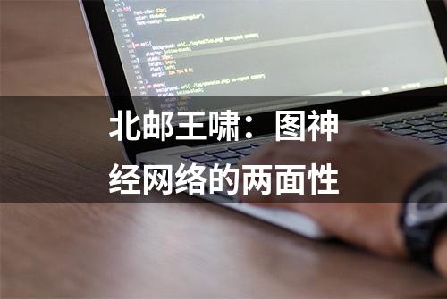 北邮王啸：图神经网络的两面性