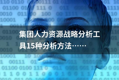 集团人力资源战略分析工具15种分析方法……