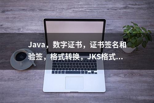 Java，数字证书，证书签名和验签，格式转换，JKS格式与PFX转换