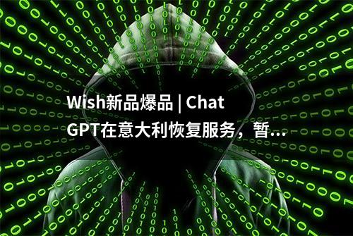 Wish新品爆品 | ChatGPT在意大利恢复服务，暂时满足监管要求