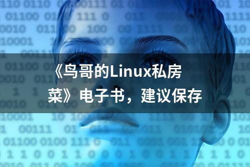 《鸟哥的Linux私房菜》电子书，建议保存