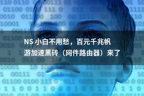 NS 小白不用愁，百元千兆帆游加速黑砖（网件路由器）来了