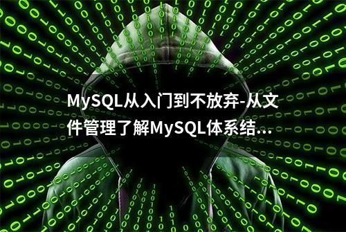 MySQL从入门到不放弃-从文件管理了解MySQL体系结构