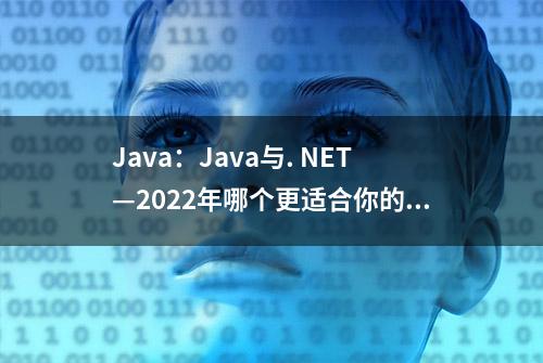 Java：Java与. NET—2022年哪个更适合你的业务？