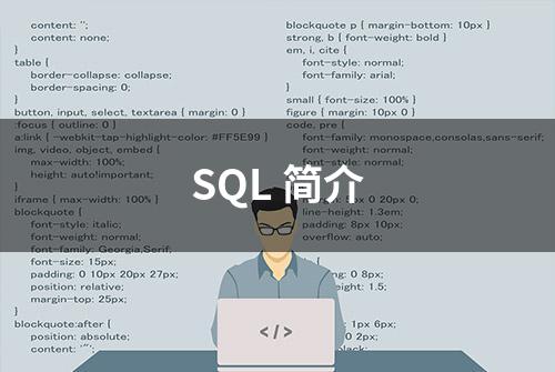 SQL 简介