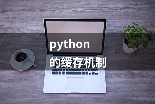 python的缓存机制