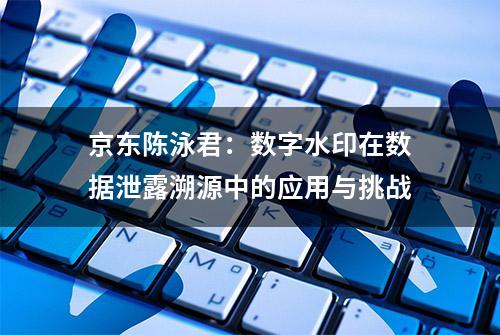 京东陈泳君：数字水印在数据泄露溯源中的应用与挑战