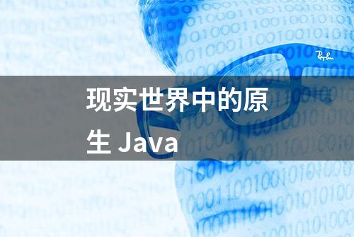 现实世界中的原生 Java