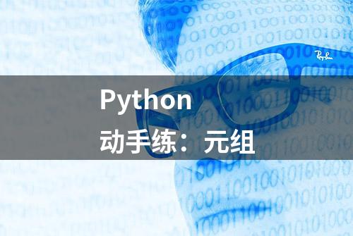 Python 动手练：元组