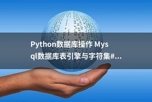 Python数据库操作 Mysql数据库表引擎与字符集#学习猿地