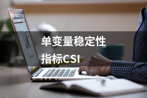 单变量稳定性指标CSI