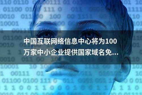 中国互联网络信息中心将为100万家中小企业提供国家域名免费注册服务