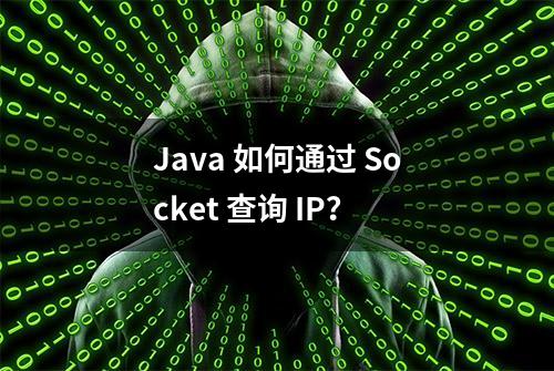 Java 如何通过 Socket 查询 IP？