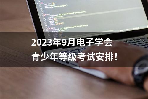 2023年9月电子学会青少年等级考试安排！