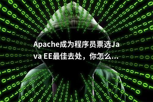 Apache成为程序员票选Java EE最佳去处，你怎么看？