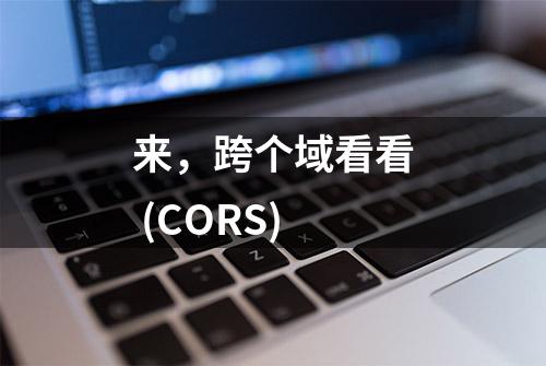 来，跨个域看看 (CORS)