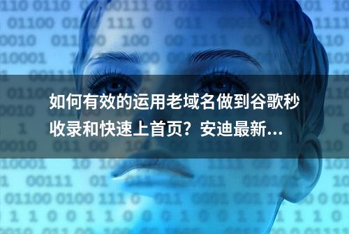 如何有效的运用老域名做到谷歌秒收录和快速上首页？安迪最新教程