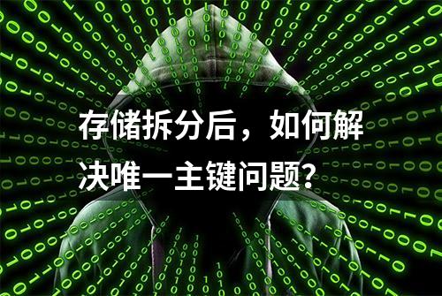 存储拆分后，如何解决唯一主键问题？