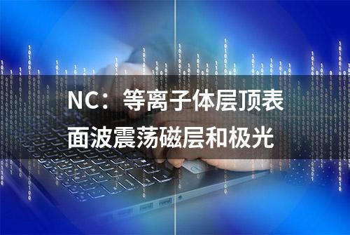 NC：等离子体层顶表面波震荡磁层和极光