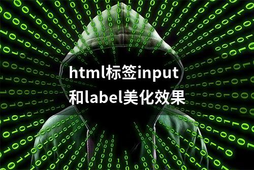 html标签input和label美化效果