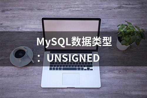 MySQL数据类型：UNSIGNED