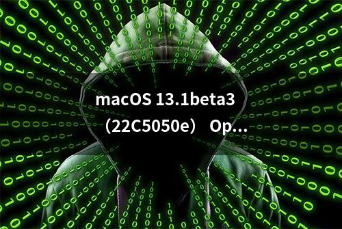 macOS 13.1beta3（22C5050e） OpenCore winPE双引导分区原版镜像