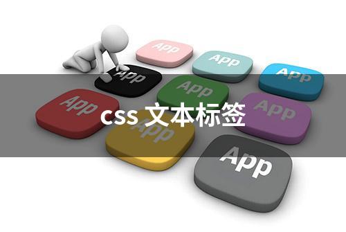 css 文本标签