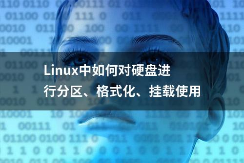 Linux中如何对硬盘进行分区、格式化、挂载使用