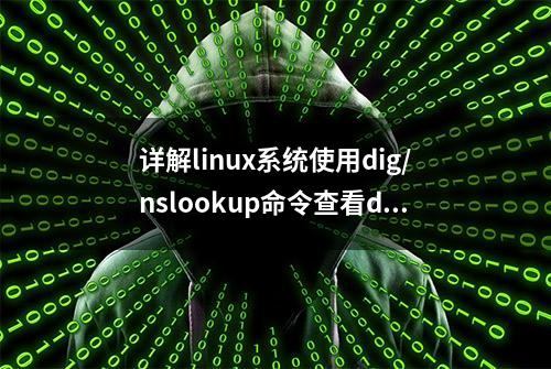 详解linux系统使用dig/nslookup命令查看dns解析的方法