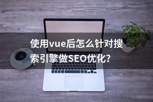 使用vue后怎么针对搜索引擎做SEO优化？