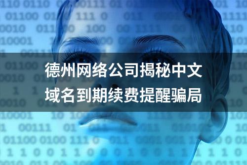 德州网络公司揭秘中文域名到期续费提醒骗局