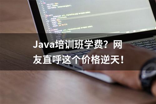 Java培训班学费？网友直呼这个价格逆天！