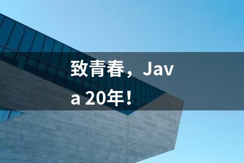 致青春，Java 20年！