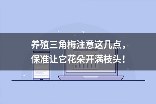 养殖三角梅注意这几点，保准让它花朵开满枝头！