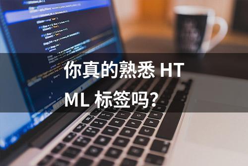 你真的熟悉 HTML 标签吗？