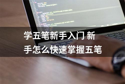 学五笔新手入门 新手怎么快速掌握五笔