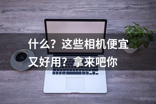 什么？这些相机便宜又好用？拿来吧你