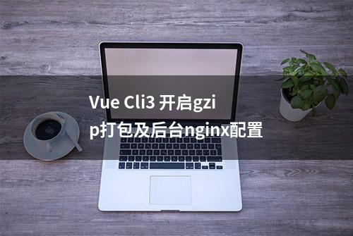 Vue Cli3 开启gzip打包及后台nginx配置