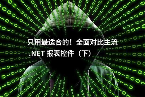 只用最适合的！全面对比主流 .NET 报表控件（下）