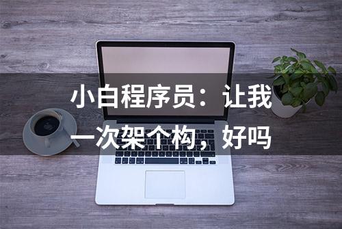 小白程序员：让我一次架个构，好吗