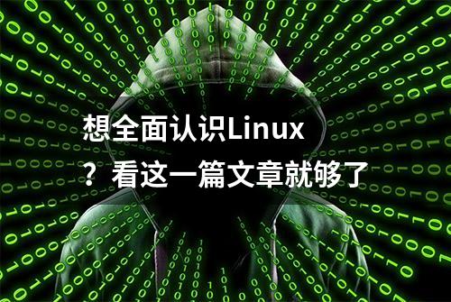 想全面认识Linux？看这一篇文章就够了