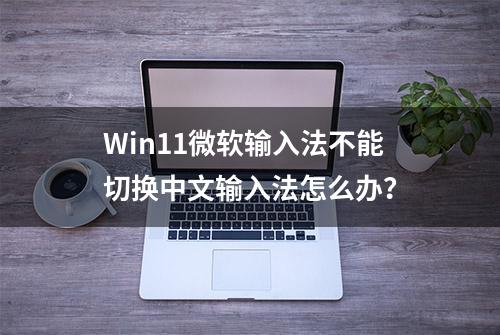 Win11微软输入法不能切换中文输入法怎么办？