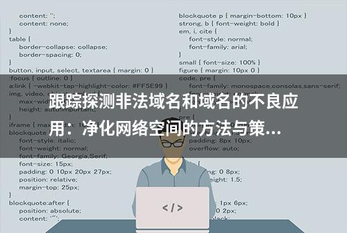 跟踪探测非法域名和域名的不良应用：净化网络空间的方法与策略