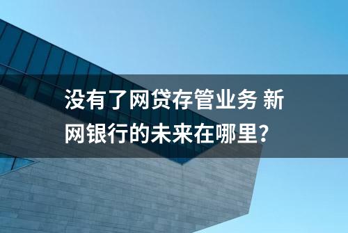 没有了网贷存管业务 新网银行的未来在哪里？