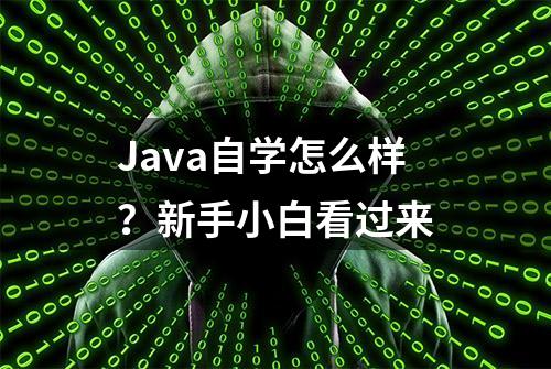 Java自学怎么样？新手小白看过来