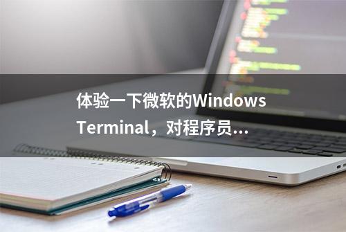 体验一下微软的Windows Terminal，对程序员来说这是一个福音