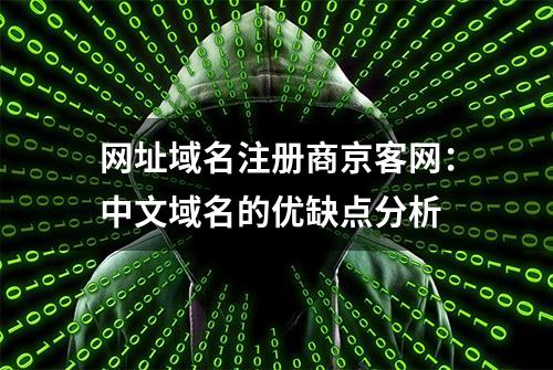 网址域名注册商京客网：中文域名的优缺点分析